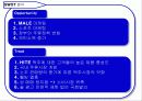 OB Blue의 신상품 출시에 따른 마케팅 전략 14페이지