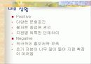 [경영학] 민들레 영토의 마케팅 전략 8페이지