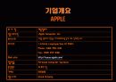 [경영학] 애플사의 아이포드(ipod) 성공 마케팅 분석 5페이지