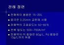 금(Au) 정련과 반도체 12페이지