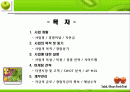 사업계획서 온라인 생과일샐러드판매 2페이지
