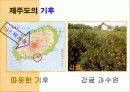 중1 사회과 제주도의 지형과 기후 단원 파워포인트 교수자료 12페이지