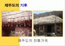중1 사회과 제주도의 지형과 기후 단원 파워포인트 교수자료 13페이지