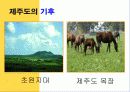 중1 사회과 제주도의 지형과 기후 단원 파워포인트 교수자료 15페이지