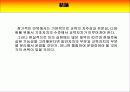 지방자치 지방재정과 교육재정 ( 관련 한글 파일 자료도 있음 ) 16페이지