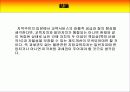 지방자치 지방재정과 교육재정 ( 관련 한글 파일 자료도 있음 ) 18페이지