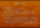 한미 FTA 보건 의료 부분의 논란과 나의 견해 6페이지