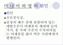 수질오염에 대해 6페이지