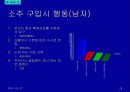 주류 실태조사 30페이지
