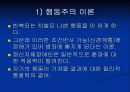 비행원인이론 12페이지