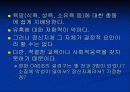 비행원인이론 13페이지
