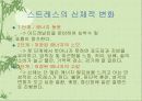 스트레스와 스트레스 관리 10페이지