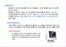 컴퓨터의 기초 17페이지