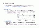컴퓨터의 기초 25페이지