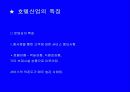 호텔산업의 특징 16페이지
