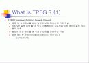 TPEG에 대하여 요약 정리 6페이지
