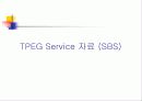 TPEG에 대하여 요약 정리 23페이지