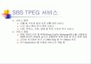 TPEG에 대하여 요약 정리 24페이지