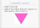 동성애에 대한 조사 정리 4페이지