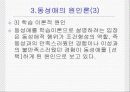 동성애에 대한 조사 정리 7페이지