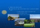 도시 어메니티의 전략 8페이지