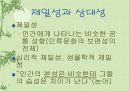 문화의 이해와 세계화 4페이지