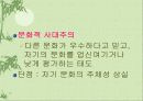 문화의 이해와 세계화 12페이지