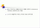심리학에서의 합리성 23페이지