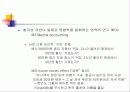 심리학에서의 합리성 28페이지