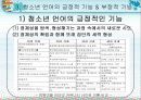 [청소년] 청소년의 언어사용실태 43페이지
