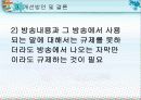 [청소년] 청소년의 언어사용실태 48페이지