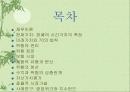 재무이론의 기초 2페이지