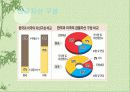 재무이론의 기초 12페이지