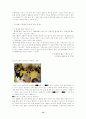 치매노인의 문제점 13페이지
