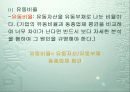 [경영학] 회계 PPT 23페이지