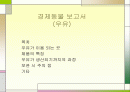 경제동물 보고서 1페이지