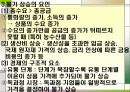 국민소득과 경제성장 25페이지