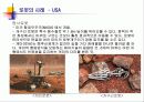 미래의 로봇산업 5페이지