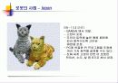 미래의 로봇산업 17페이지