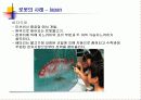 미래의 로봇산업 19페이지