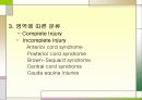 척수손상 파워포인트 8페이지