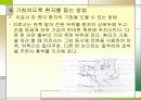 척수손상 파워포인트 20페이지
