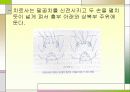 척수손상 파워포인트 21페이지