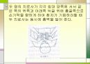 척수손상 파워포인트 23페이지