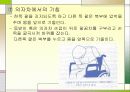 척수손상 파워포인트 24페이지