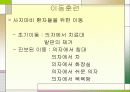 척수손상 파워포인트 30페이지