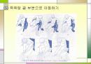 척수손상 파워포인트 39페이지