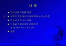 디지털 경제와 인터넷 비즈니스 전략 10페이지