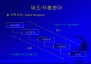 디지털 경제와 인터넷 비즈니스 전략 11페이지
