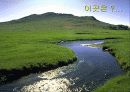 디지털 경제와 인터넷 비즈니스 전략 37페이지